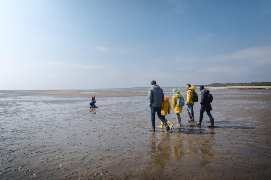 Sylt: Guided Mudflat Hike on the Island - Getting to Vogelkoje: The Start Point That Keeps It Simple