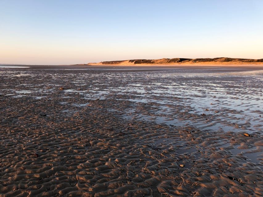Sylt: Guided Mudflat Hike on the Island - Who Should Book This Mudflat Hike (and Who Should Rethink It)