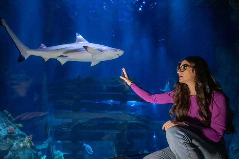 Ticket to SEA LIFE Konstanz - Key highlights at a glance