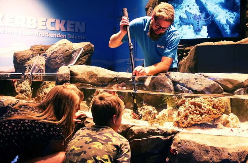 Ticket to SEA LIFE Konstanz - Food, views, and pacing a 1-day visit without rushing