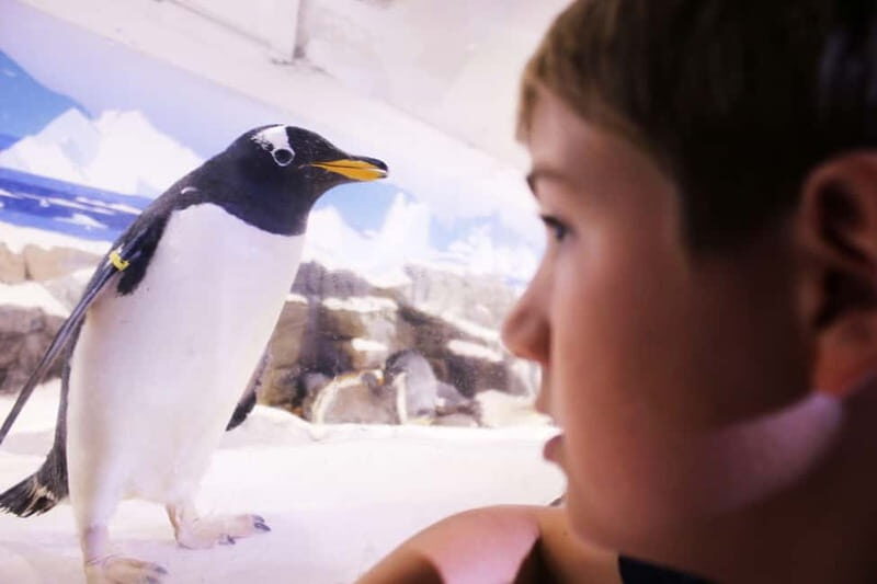 Ticket to SEA LIFE Konstanz - Practical tips for a smooth visit (and fewer annoyances)
