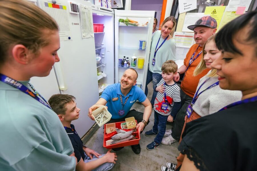 Timmendorfer Strand: SEA LIFE Behind the Scenes Tour - Key highlights you should care about