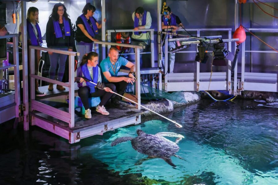 Timmendorfer Strand: SEA LIFE Behind the Scenes Tour - Your self-guided aquarium visit: 12 themed worlds with real variety