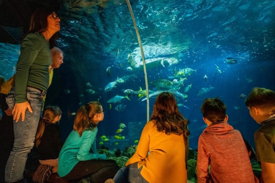 Timmendorfer Strand: SEA LIFE Behind the Scenes Tour - Are the feedings only about turtles?