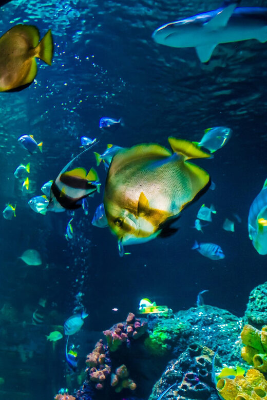 Timmendorfer Strand: SEA LIFE Behind the Scenes Tour - Timing: how to get the most out of the 150 minutes