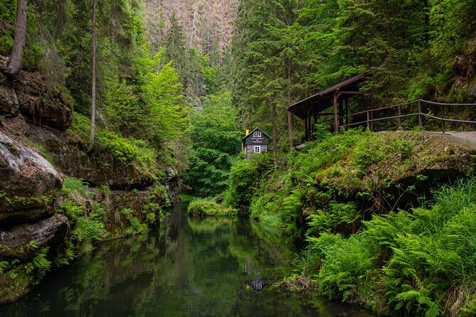 Top Full-Day Adventure: Bohemian & Saxon Switzerland from Dresden - Price and Value: What $217.22 Actually Buys You