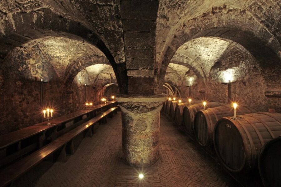 Trier: Discovery Tour – Germany's Oldest Wine Cellar - Trier’s 330 AD Cellar Walk: What You’re Really Booking