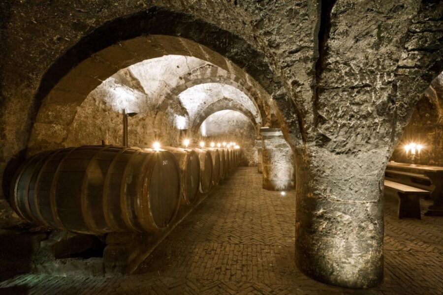 Trier: Discovery Tour – Germany's Oldest Wine Cellar - Price and Value: Is $20 Worth It?