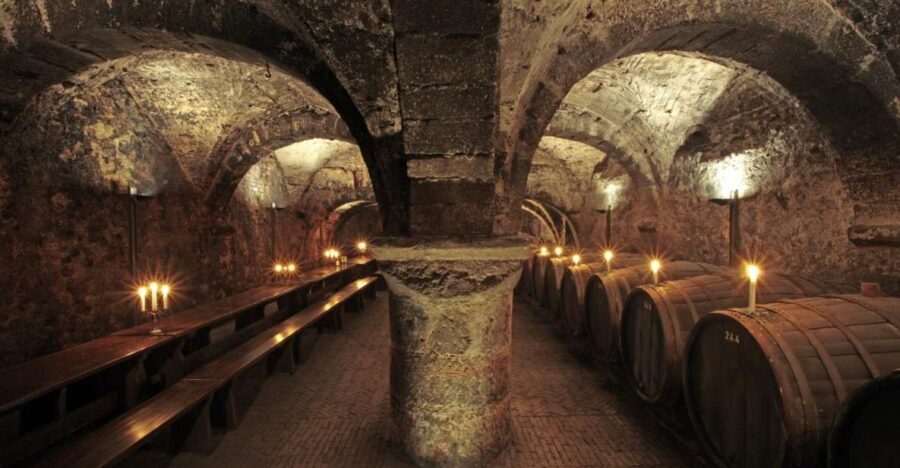 Trier: Discovery Tour – Germany's Oldest Wine Cellar - The Possible Trade-Off: Why the 1-Hour Timing Can Feel Fast