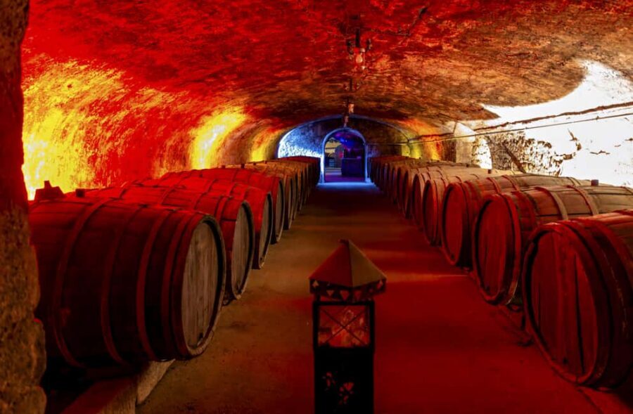 Trier: Mosel wine meets history – wine tour with cellar visit - Trier wine meets architecture: what makes this tour click