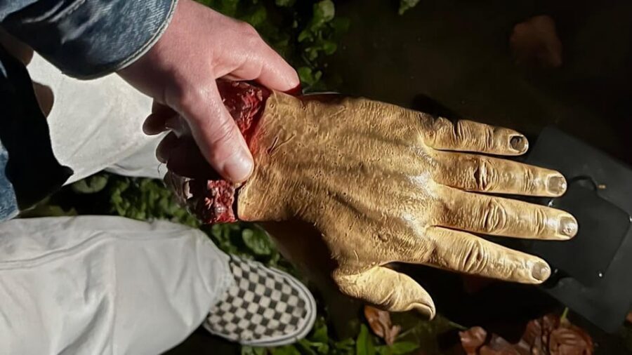 Ulm: Scary Walking Tour - Should you book this tour?
