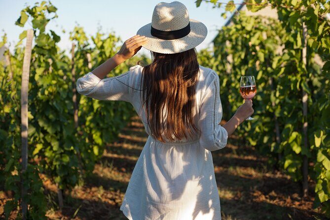 Veni vidi vino - the Freiburg wine hike - How the 2.5-hour Freiburg wine hike really plays out