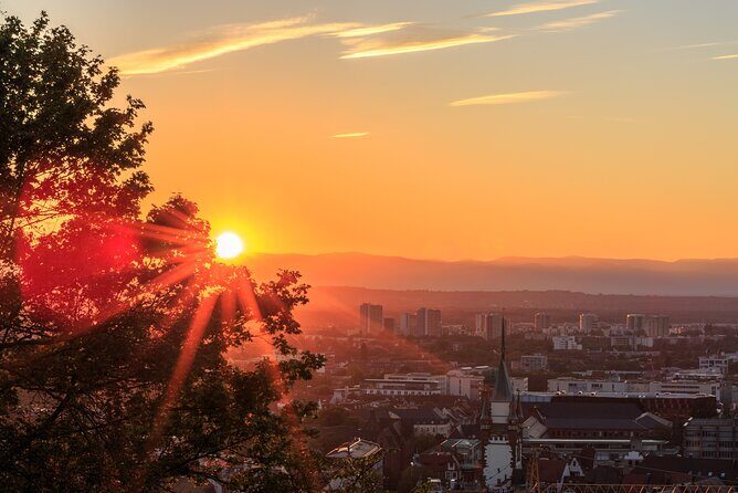 Veni vidi vino - the Freiburg wine hike - From Karlsplatz to the Stadtgarten and the Schlossbergbahn ride up