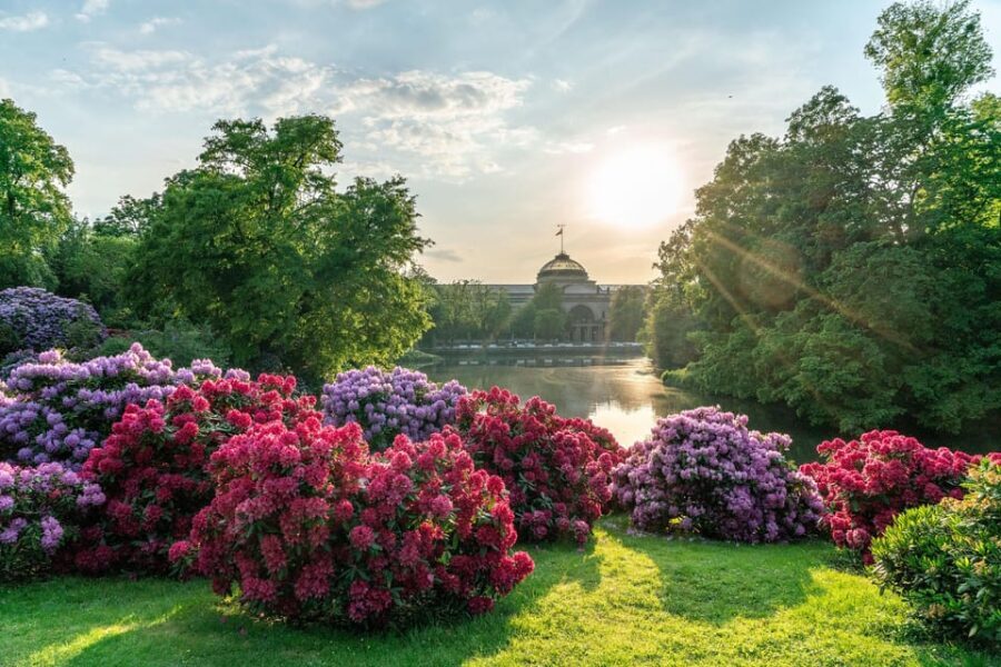 Wiesbaden: Naturally Wiesbaden - public tour - Price and value: why $26 feels fair for what you get