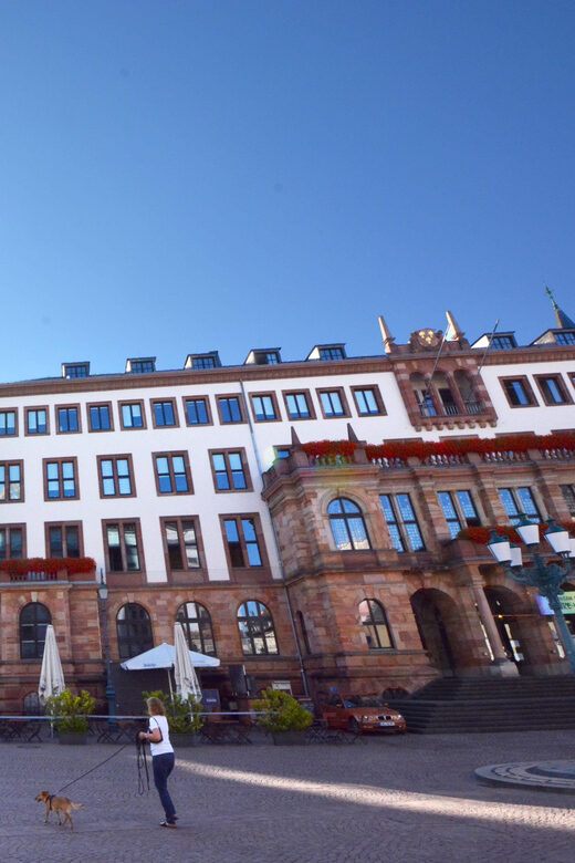 Wiesbaden: Schnuppertour - public tour - Ending at the tactile model: a memorable final beat