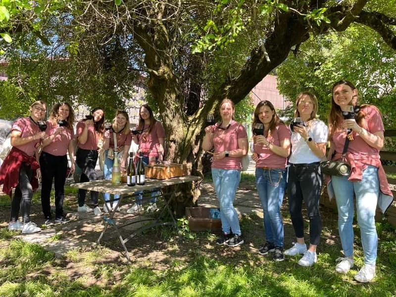 Wine hike JGA Gin Tour with games and snacks Stuttgart - Price and Logistics: Is It Good Value?