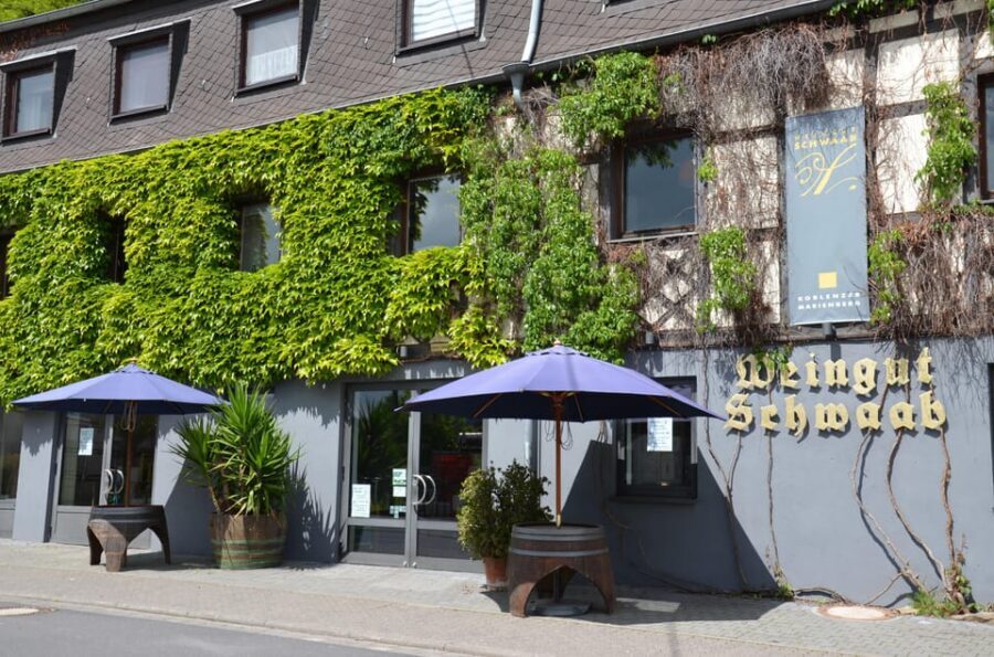 Winetasting / Weinprobe Koblenz - Key things to know before you go