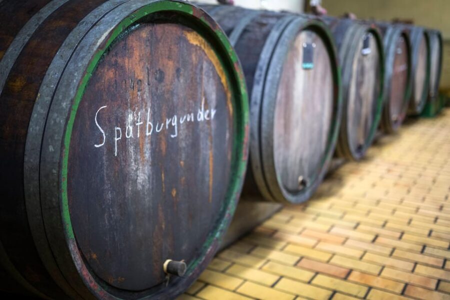 Winetasting with tour through the winery - The 40-Minute Winery and Cellar Walk: Where Fermentation Lives