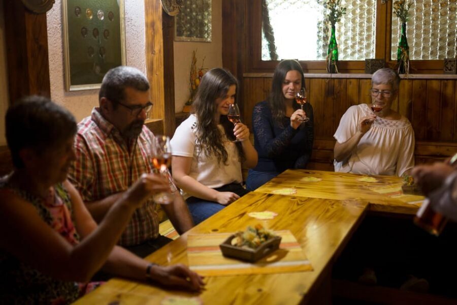 Winetasting with tour through the winery - What the Price Really Covers: Value in a 2-Hour Format
