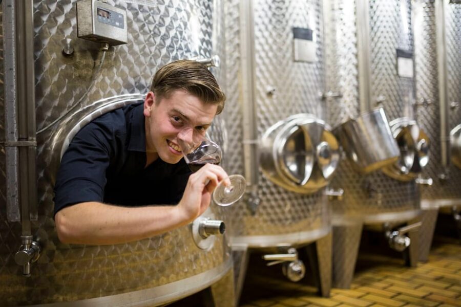 Winetasting with tour through the winery - Who This Tour Is Best For