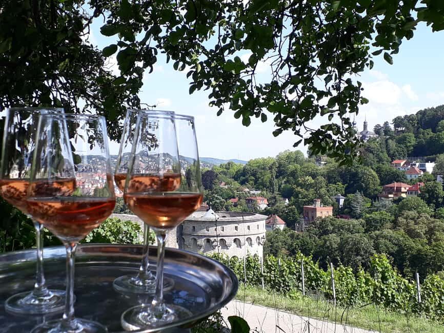 Wuerzburg: Wine mountain rally with wine tasting and group dynamics - Vineyard Rally Team Games: How the Fun Actually Works