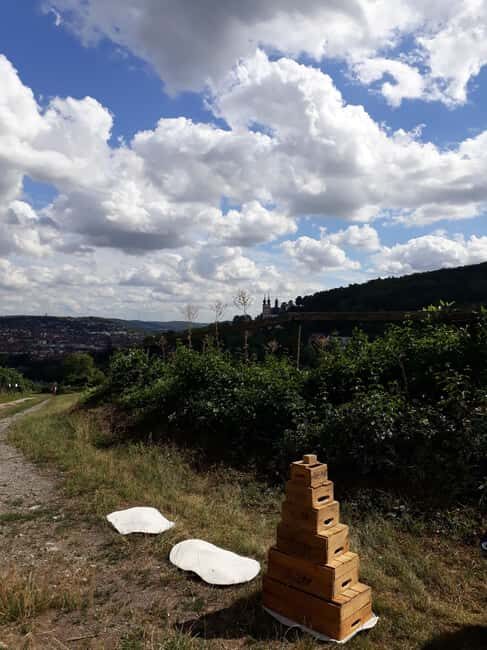 Wuerzburg: Wine mountain rally with wine tasting and group dynamics - Wine Quiz and Questionnaire: Learning Without the Lecture