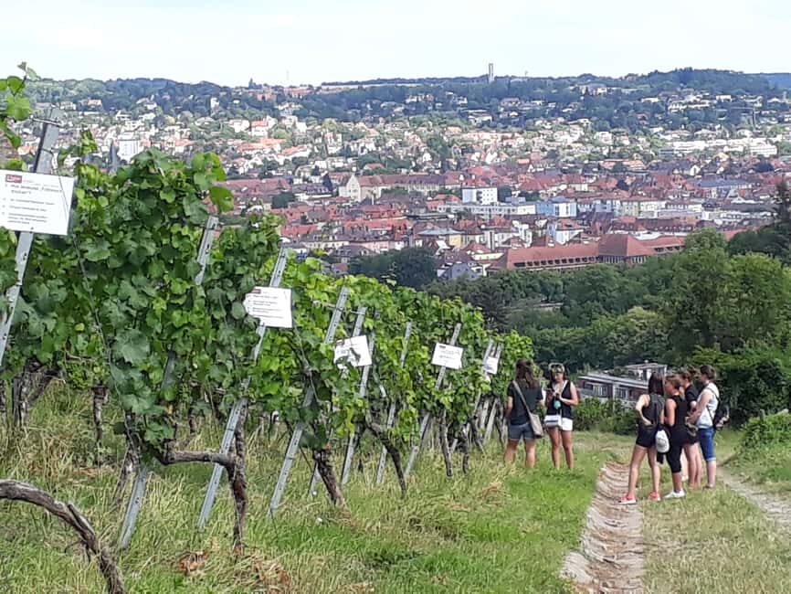 Wuerzburg: Wine mountain rally with wine tasting and group dynamics - Sensory Experience at the Sensorium (With and Without Alcohol)