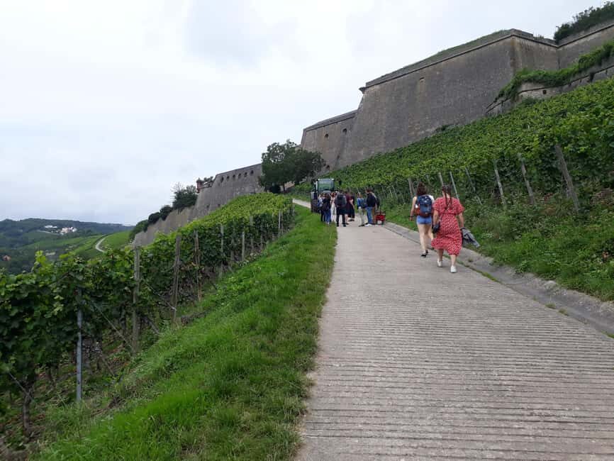 Wuerzburg: Wine mountain rally with wine tasting and group dynamics - The Marienberg Fortress Area: Views and a Rally Finish