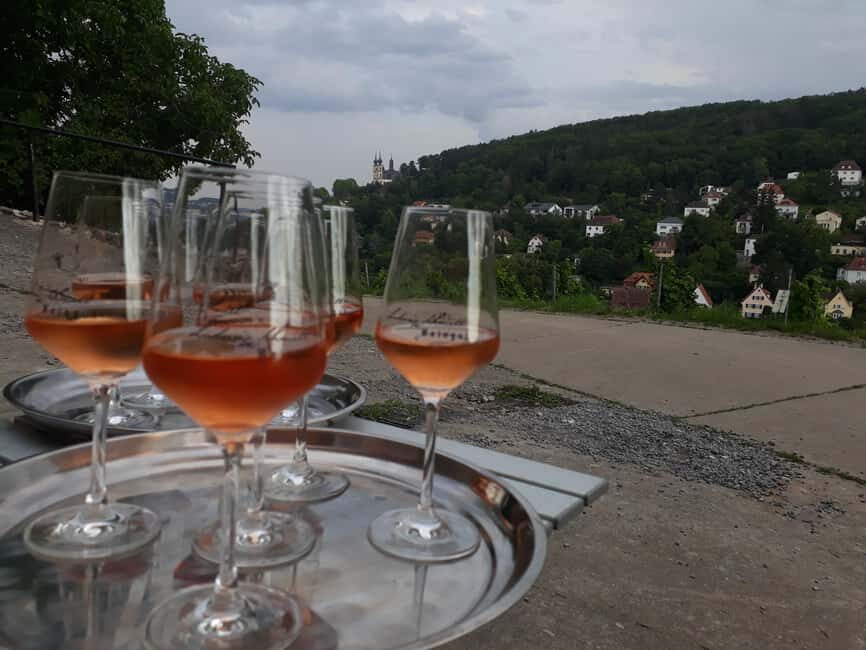 Wuerzburg: Wine mountain rally with wine tasting and group dynamics - What to Bring (and What Will Slow You Down)